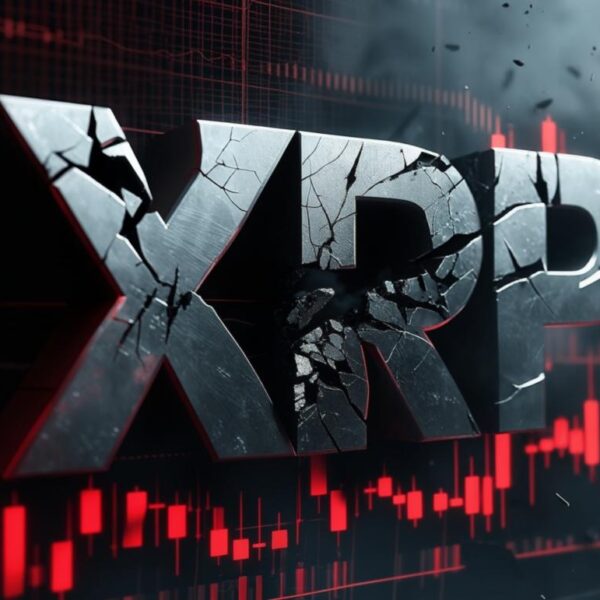 xrp pierde