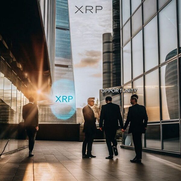 xrp sube