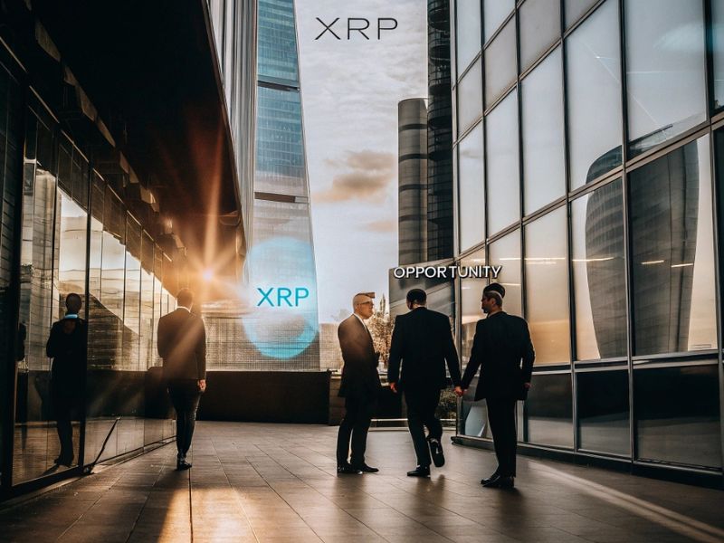 xrp sube